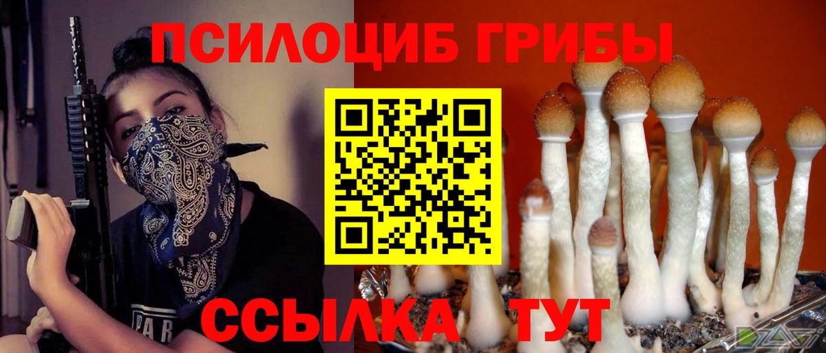 Псилоцибиновые грибы Magic Shrooms  Вход с VPN  Псилоцибиновые грибы Psilocybe  Аксай 